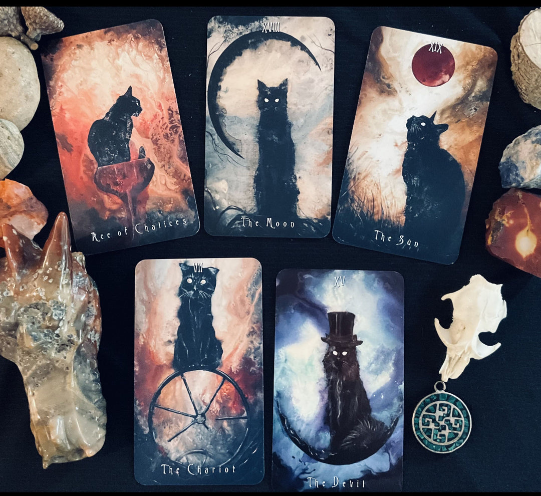 Haunted Cat Tarot